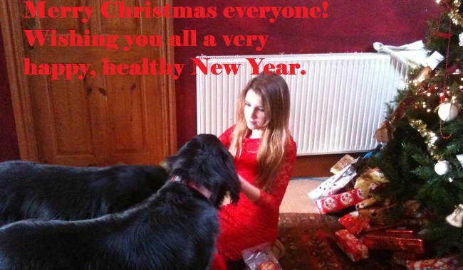is turkey bad for dogs is turkey bad for dogs holidays4dogs home boarding for dogs is turkey bad for dogs is turkey bad for dogs holidays4dogs home boarding for dogs