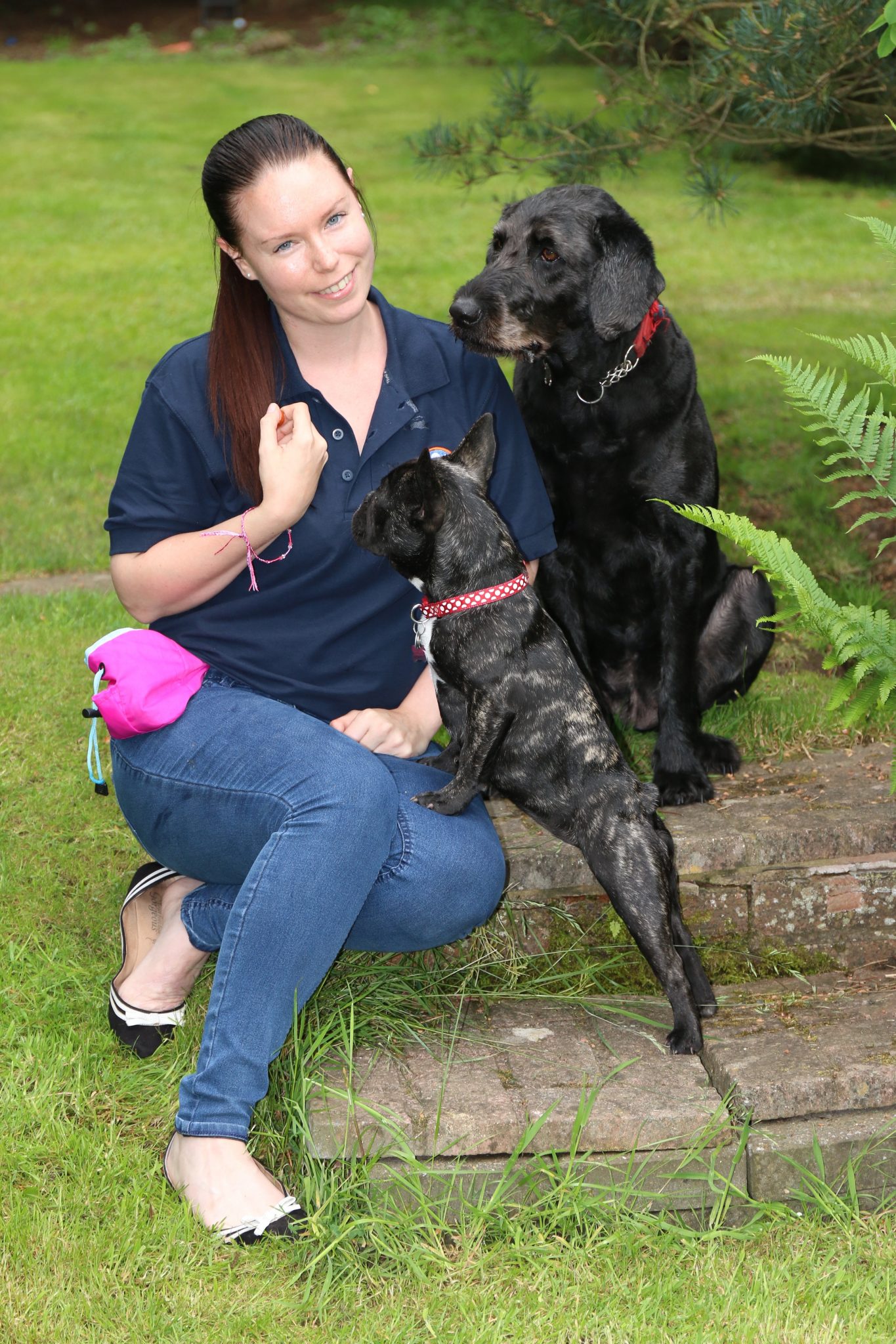 Monty and Lilly’s Transformation With Residential Dog Training ... pet is to you. Jo also has experience of dog training with the Kennel