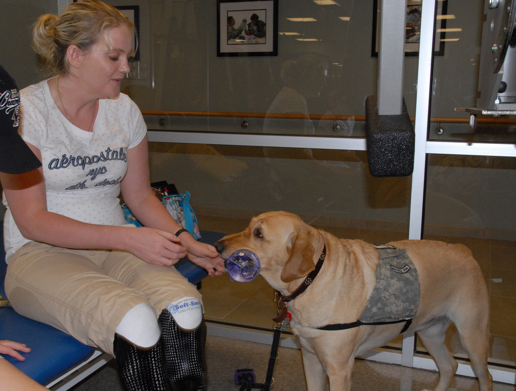 Psychological Assistance Dog Uk Psychological Assistance Dog Uk