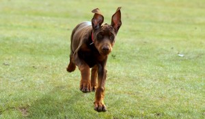 running