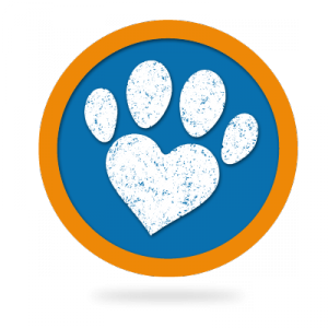 your dog's stay with holidays4dogs