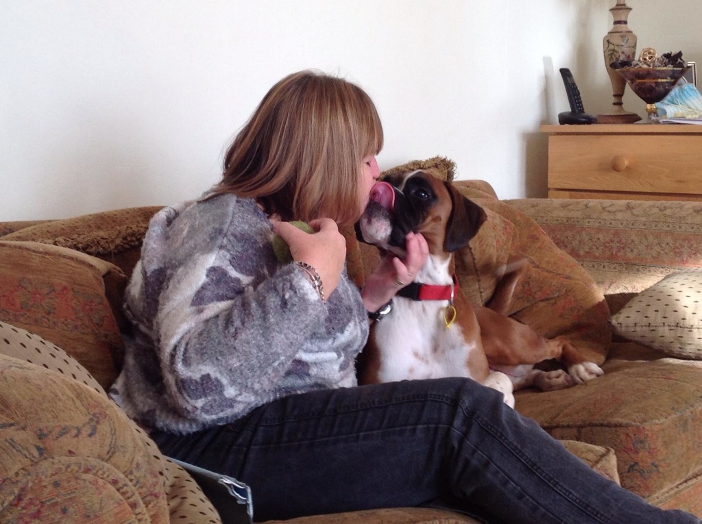 dog sitting, pet sitting