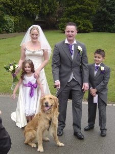 your dog as a wedding guest