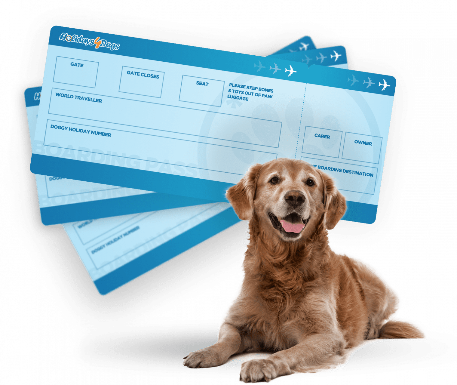 About Holidays4Dogs Dog Home Boarding Dog Sitting