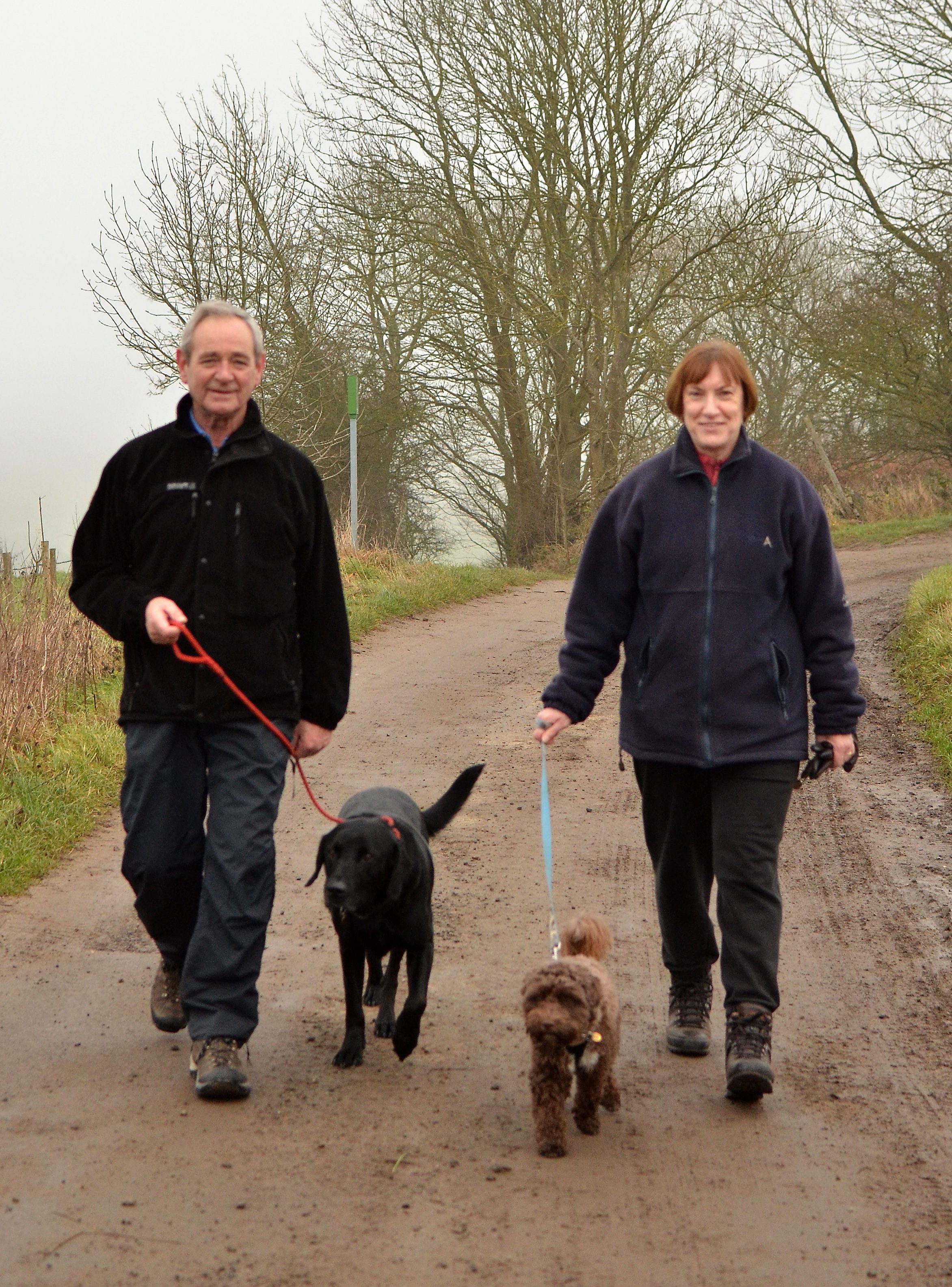 How To Teach A Dog To Walk Sideways How To Teach A Dog To Walk Sideways