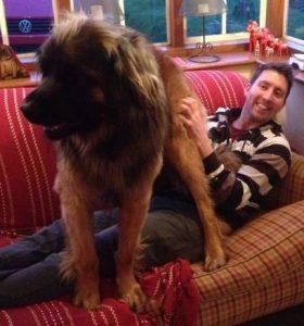 dog sitting, pet sitting