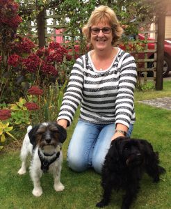 dog sitting, pet sitting