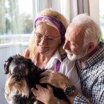 canine companionship for older people