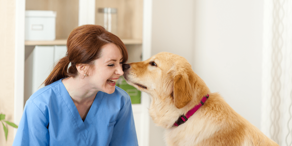when should my dog see a vet