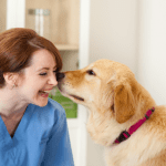 Finding A Good Vet.