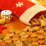 christmas dinner for dogs