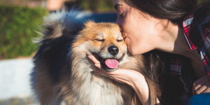 kiss your dog