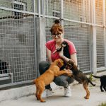 animal sanctuary regulation