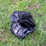 safe ways to dispose of dog waste