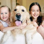 dog owner or pet parent