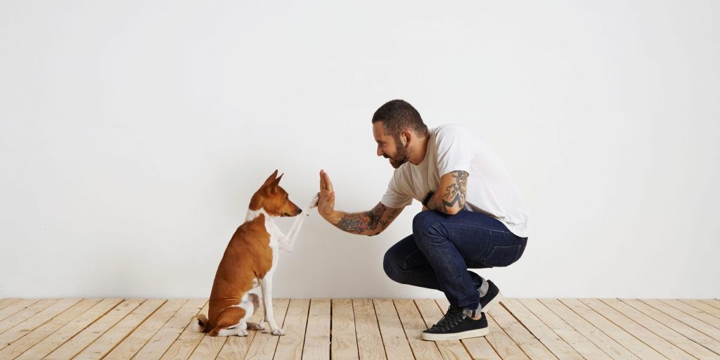 are dogs really that clever