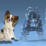Can AI Assess Canine Personality?