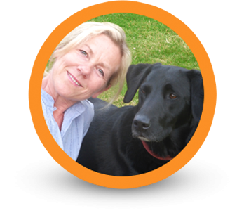 dog sitting, pet sitting dog sitting, pet sitting